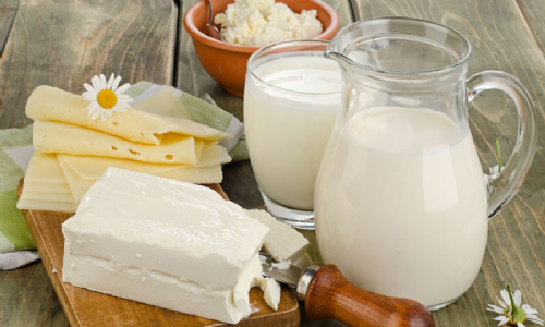Süt ve Süt Ürünleri Analizleri